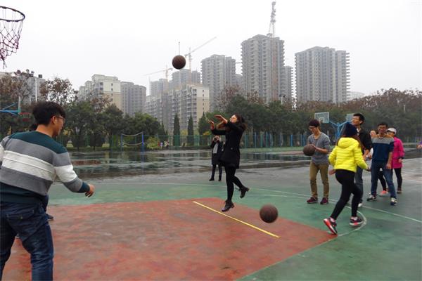 百家乐网站